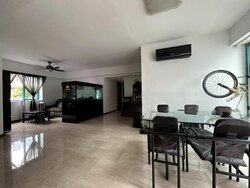 Celadon View (D17), Apartment #456791391